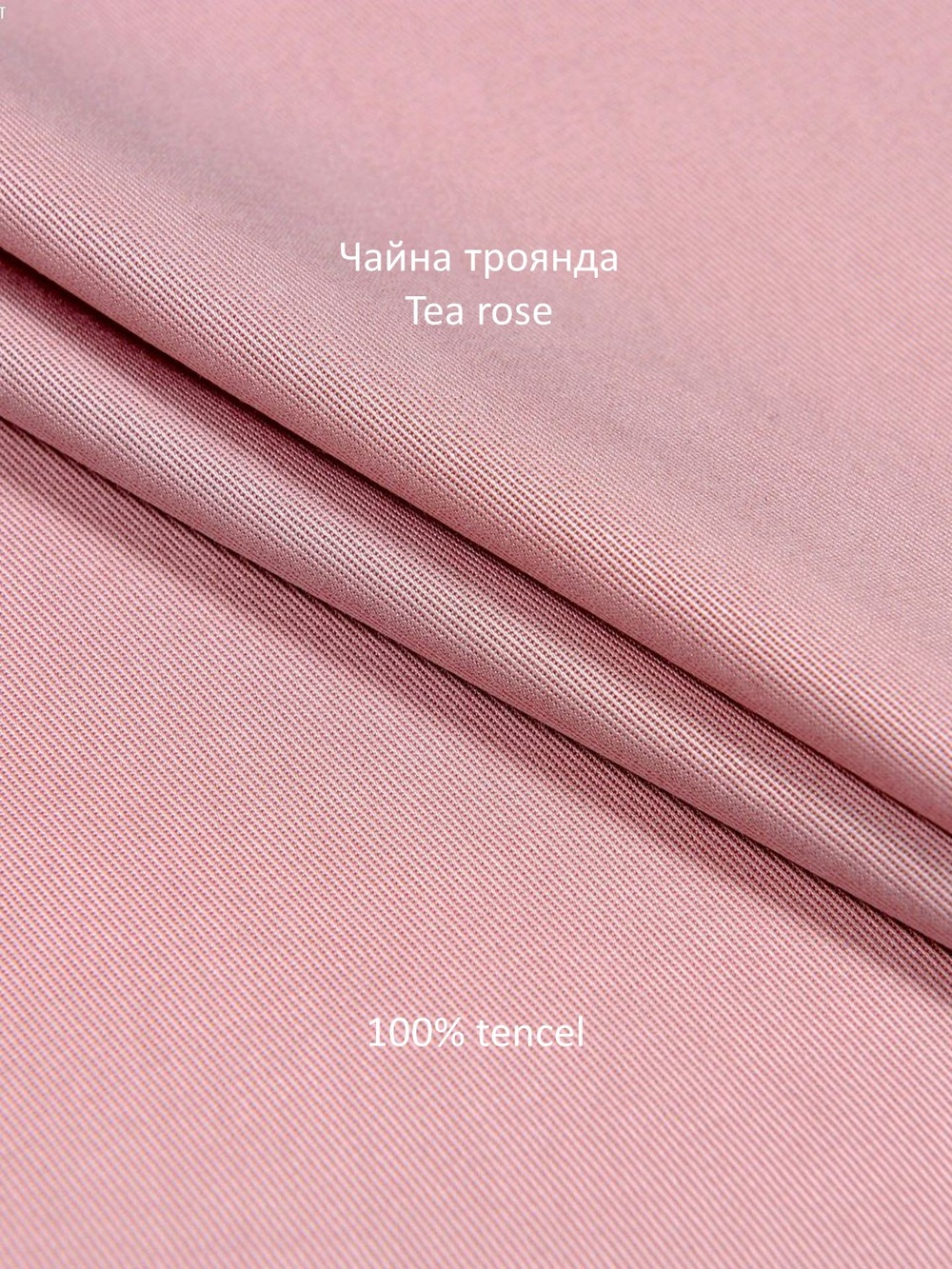 Tencel dress shirt tea rose